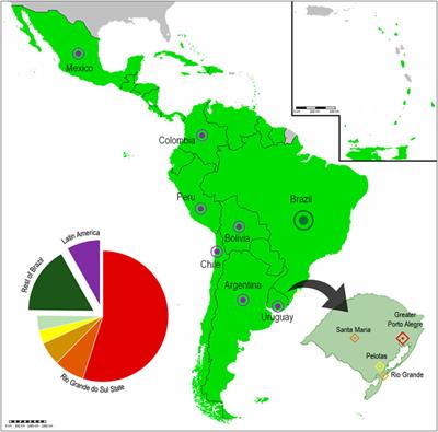 Transdisciplinary Approach for Bioinformatics Education in Southern Brazil